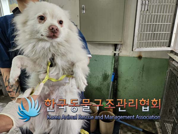한국동물구조관리협회_411301202400361